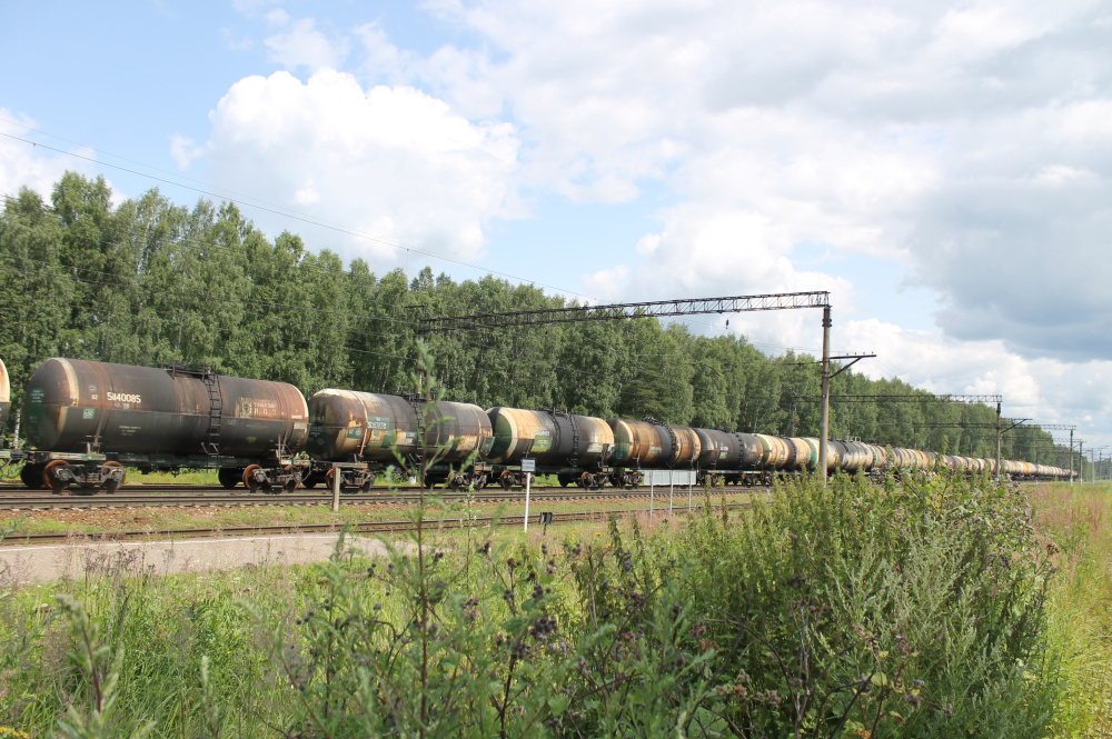 В Ярославской области мужчину насмерть сбил грузовой поезд