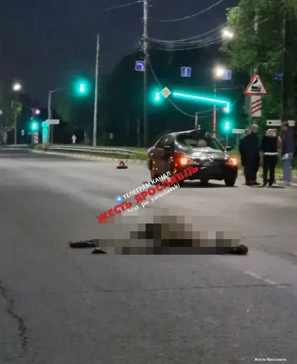 На проспекте Фрунзе легковушка сбила лося