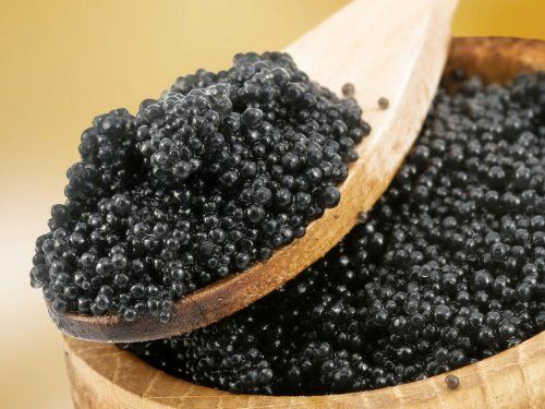 В Ярославской области планируют производить черную икру