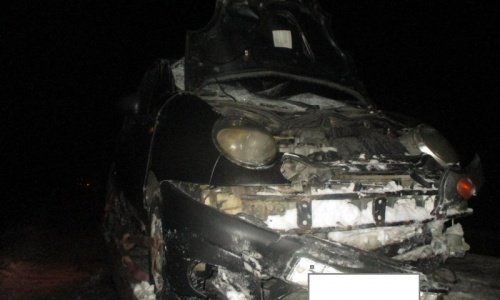 В Ярославской области водитель автомобиля «Дэу Матиз» сбил лося: есть пострадавшие 