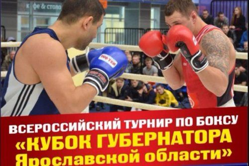 Спортсмены Дмитрий Пирог и Александр Поветкин приедут в Ярославль на всероссийский турнир по боксу 