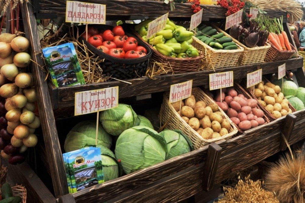 В Ярославской области снизились цены на овощи и картофель