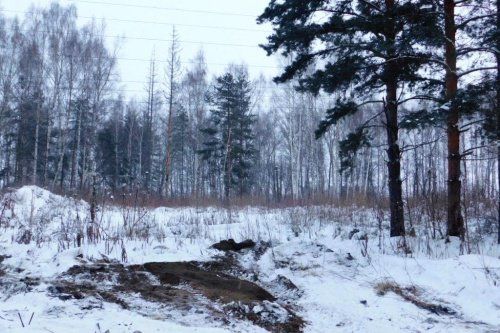 Ярославская область заняла 12-е место в России по количеству ликвидированных свалок 