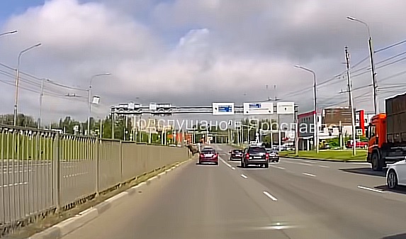 В Ярославле лось у крупного ТЦ едва не устроил массовое ДТП