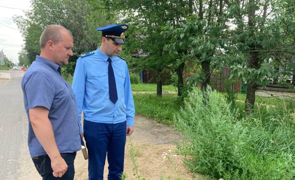 Жители Ростова Ярославской области опасаются за здоровье из-за проблем с канализацией