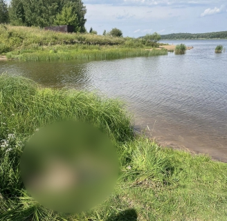В Ярославской области в реке Рыкуша утонул ребенок