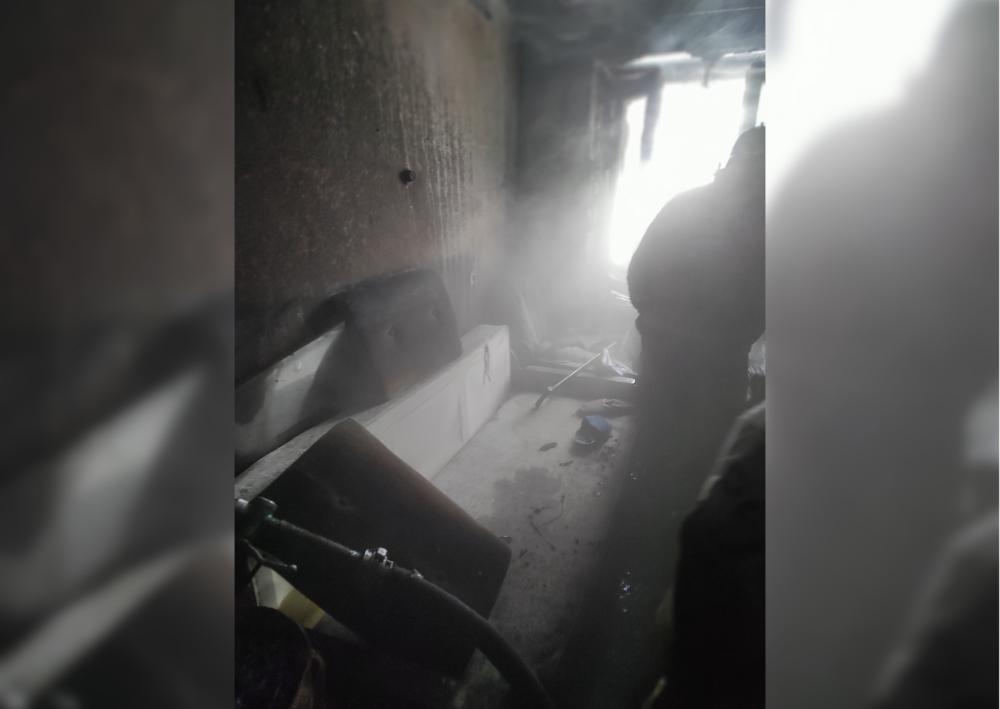 В Ярославской области сгорели пенсионерка и три собаки