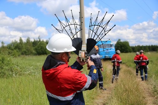 Магистральные линии электропередачи в Ярославской области защитят от птиц
