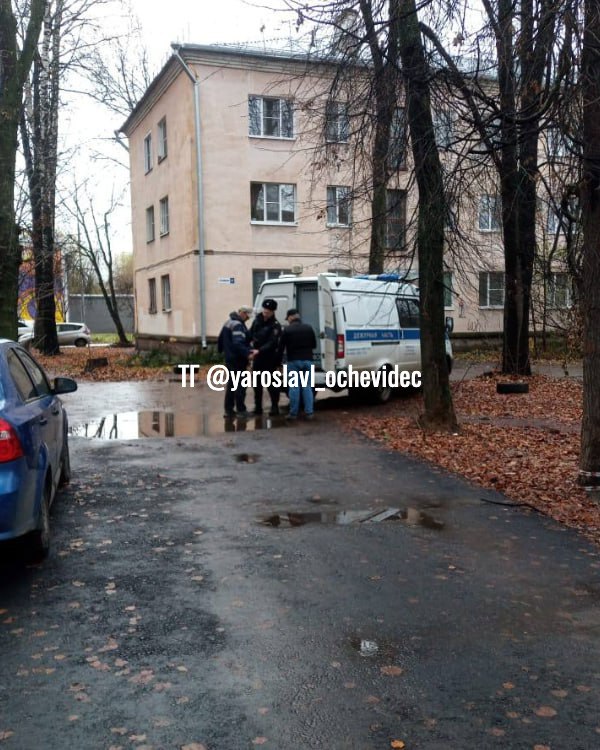 В Ярославле задержали «слесаря» с электрошокером