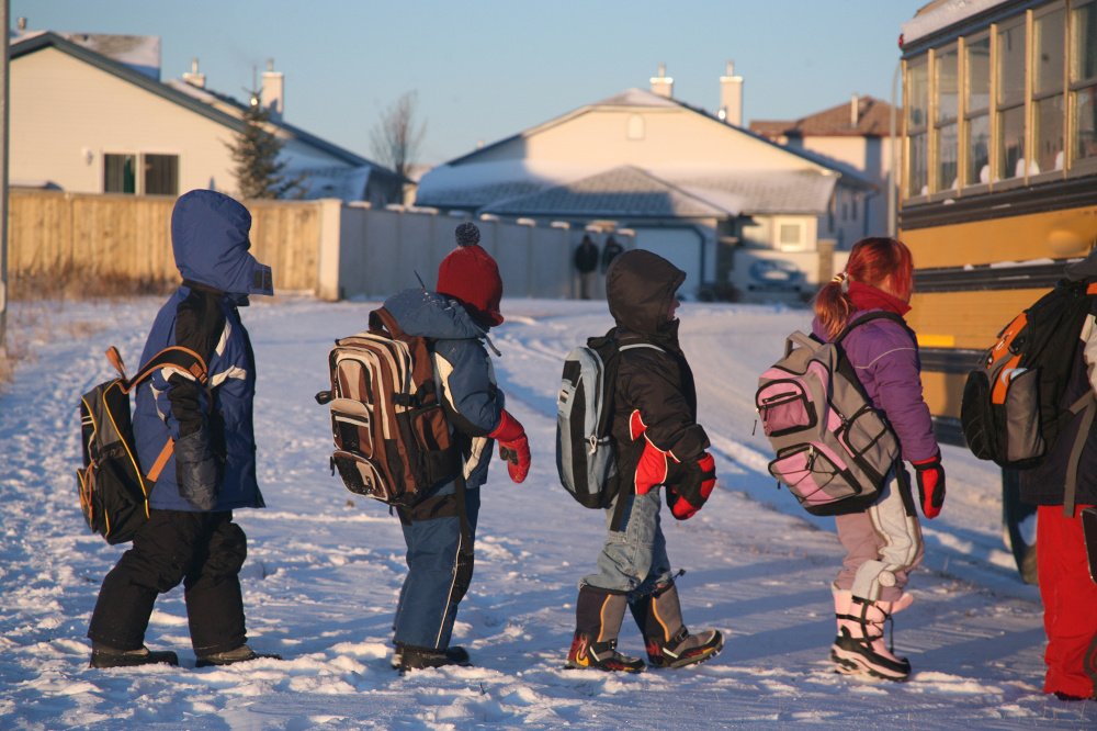 В ярославских школах из-за морозов могут отменить занятия