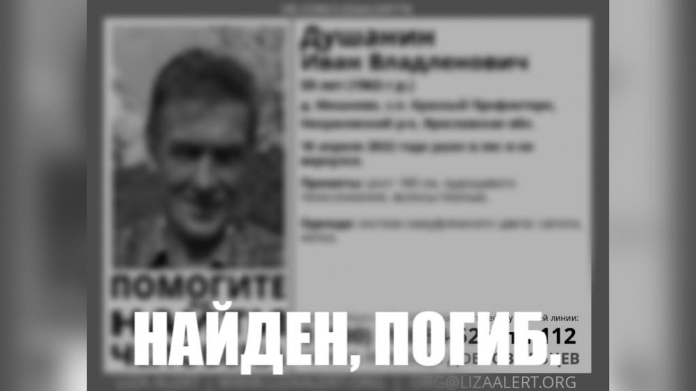 Пошел на охоту и потерялся: в Ярославской области нашли тело 59-летнего мужчины