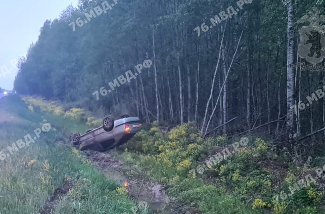 Автомобиль перевернулся: в Ярославской области водитель иномарки сбил лося