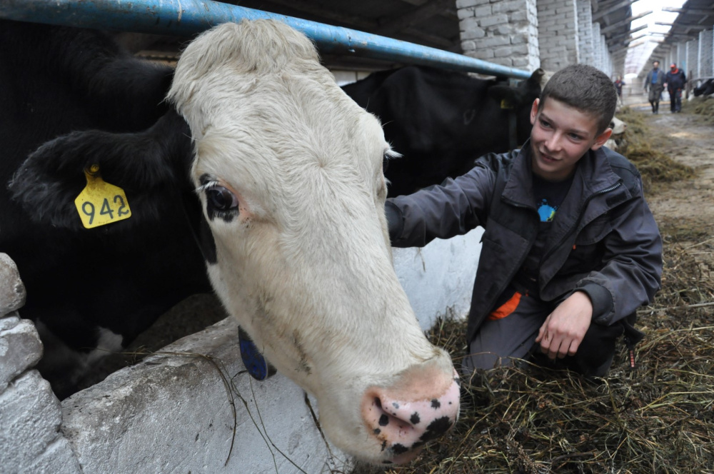 Ярославцев приглашают на бесплатное обучение по созданию фермерских хозяйств