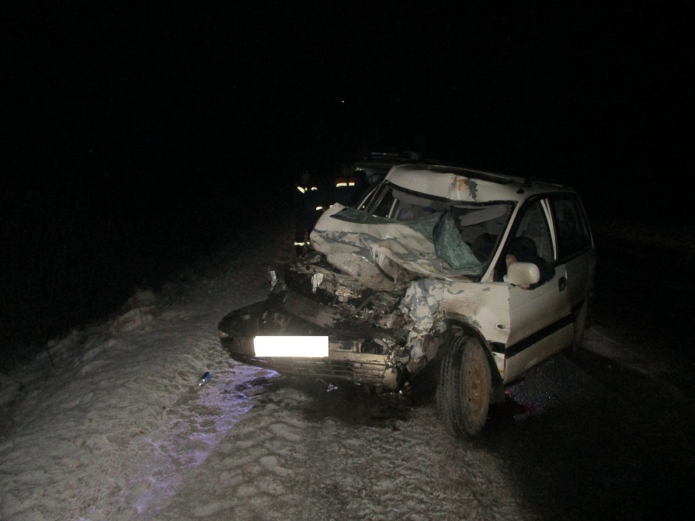 В Ярославской области в ДТП с грузовиком погиб водитель минивэна