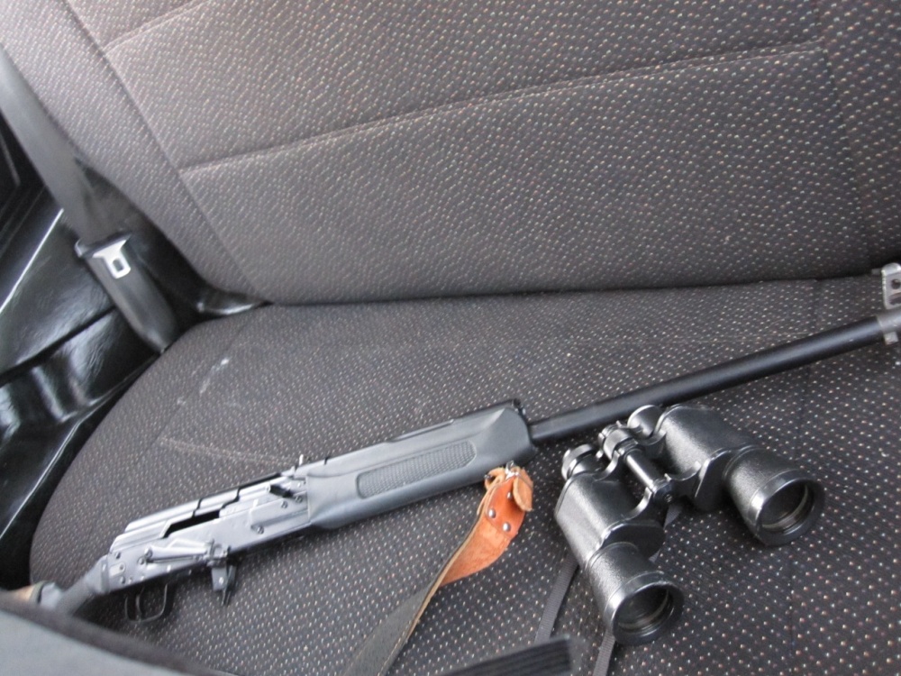 В Ярославской области охотник заплатил штраф за убитого лося и лишился оружия