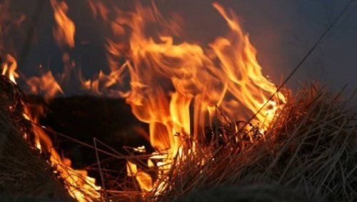 Задержан мужчина, спаливший сено почти на два миллиона рублей