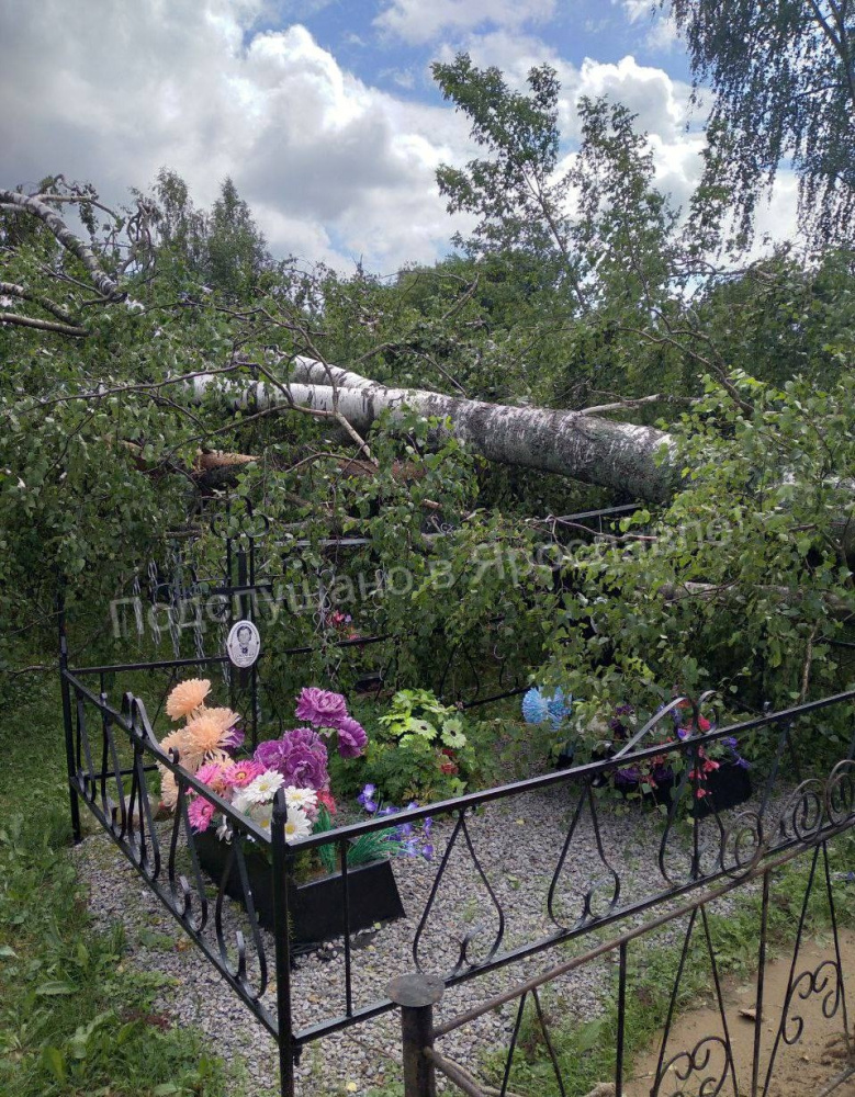 Непогода устроила погром на сельском кладбище под Ярославлем