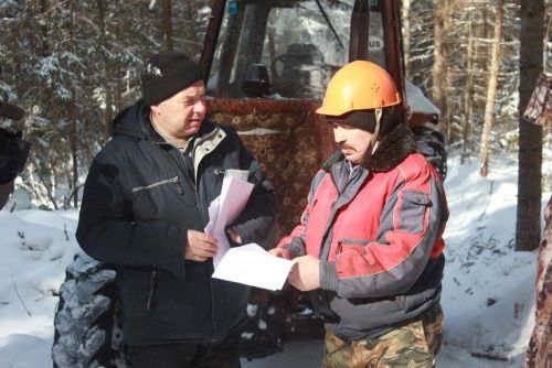 В Ярославской области основали институт общественных лесных инспекторов