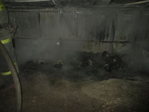 В ночь на 1 октября в Ярославле сожгли семь мусорных контейнеров