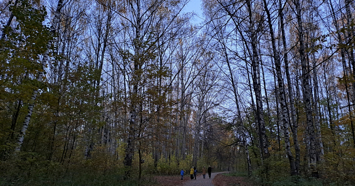 Ярославские власти рассказали о благоустройстве городских парков