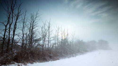 МЧС по Ярославской области предупредило о тумане 15 февраля