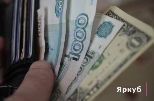 Ярославские депутаты отменили льготы по земельному налогу для инвалидов и пенсионеров