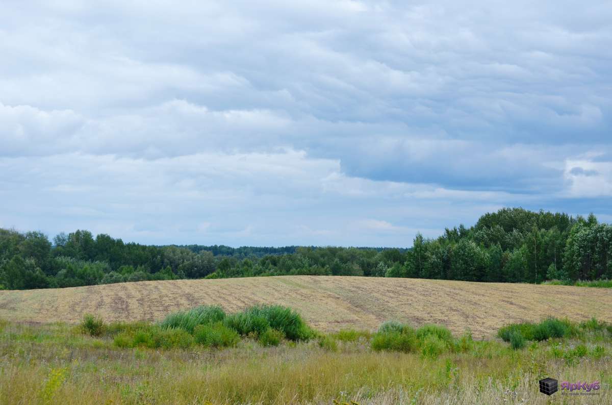 В Ярославской области сокращается процент неосвоенных сельскохозяйственных угодий