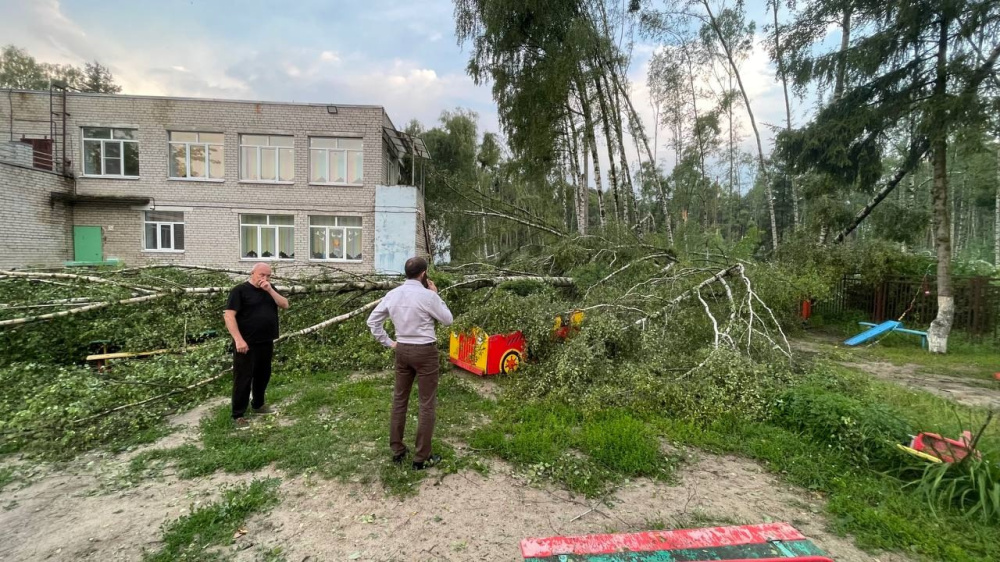 Под Ярославлем из-за шторма закрыли восемь детских садов