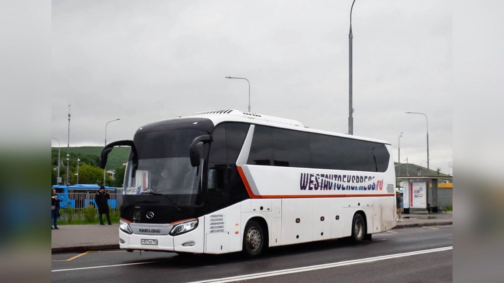 В Ярославле отменили автобусный маршрут до Санкт-Петербурга