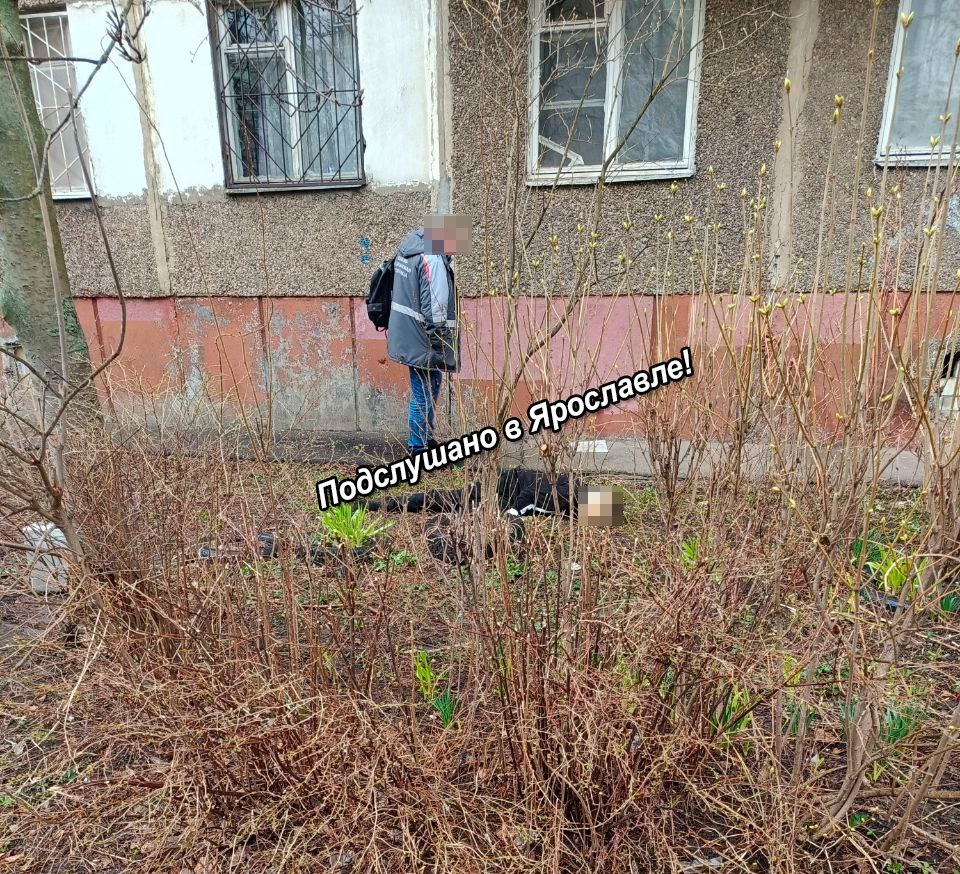 Под окнами пятиэтажки в Ярославле обнаружили труп