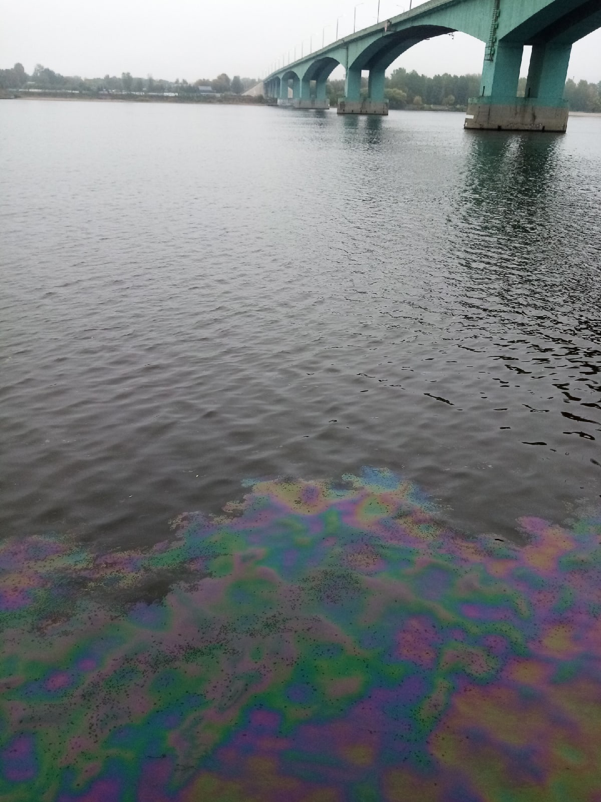 В Ярославле у берегов Волги появилось нефтяное пятно
