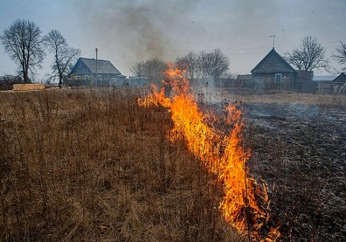 В Ярославской области за дачниками будут следить с квадрокоптеров