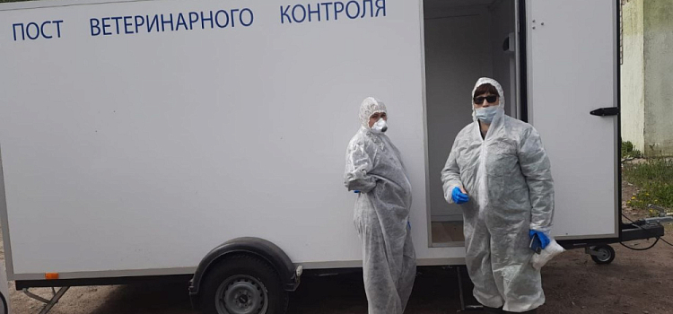В Ярославской области ввели карантин по бешенству