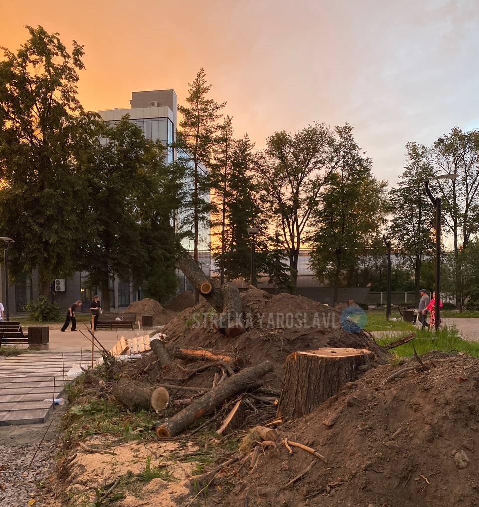 В сквере на площади Труда в Ярославле разобьют новый сад | 18.07.23 | Яркуб