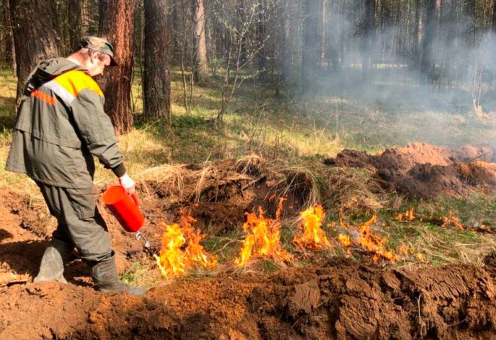 Сводный план по тушению лесных пожаров