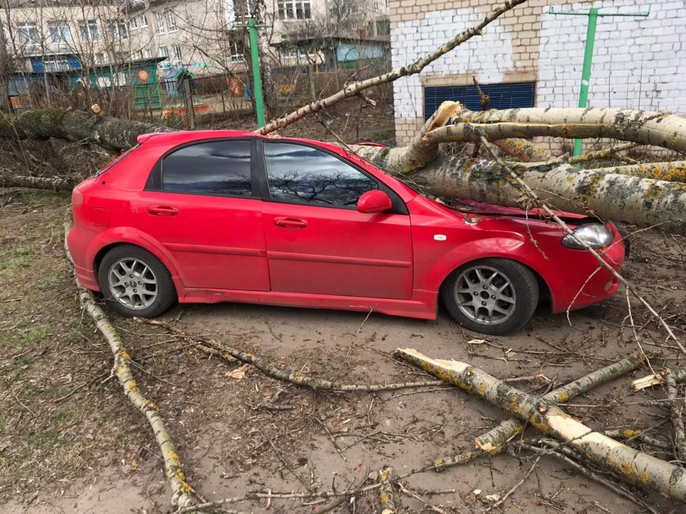 В Ярославле тополь повалило ветром на парковку