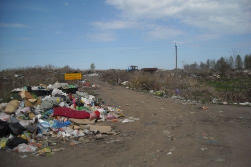 Ущерб от незаконной свалки в Ярославской области оценили на 16,5 миллионов