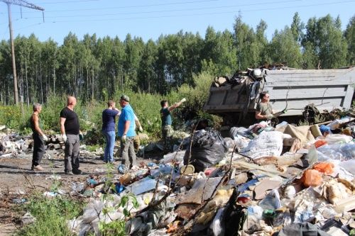 В лесах Ярославской области ликвидировали 192 незаконные свалки