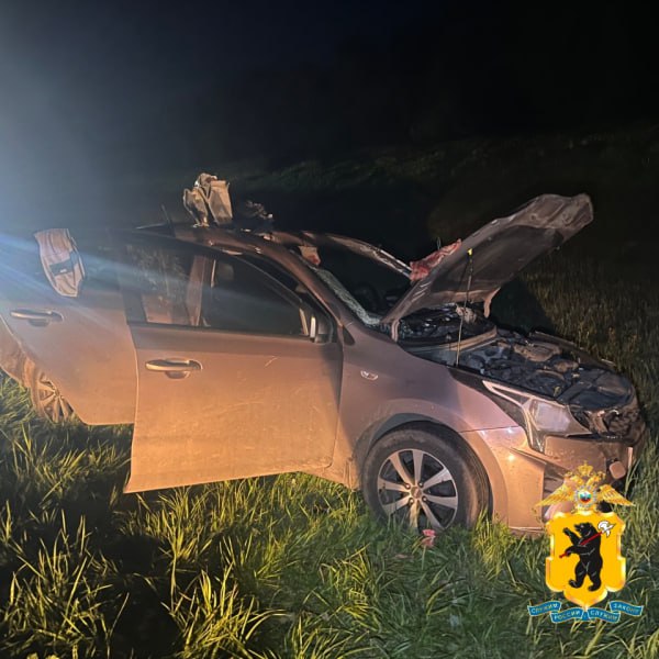 На трассе М-8 под Ярославлем легковушка сбила лося: пострадала шестилетняя девочка