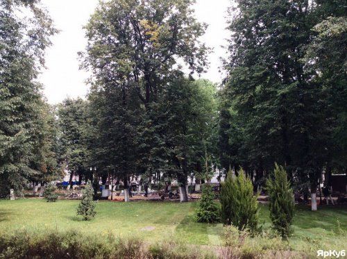 На «восстановление газонов» в Демидовском сквере потратят 2,5 млн рублей. А зачем?