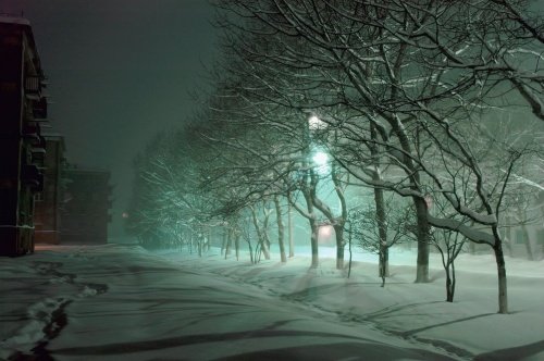 МЧС: в Ярославской области ожидается сильный мороз