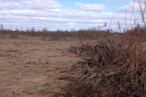 В Ярославской области продолжается работа по вводу в оборот земель сельхозназначения