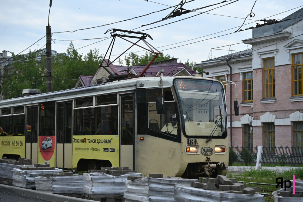 В помощь животным: по Ярославлю проедет благотворительный трамвай