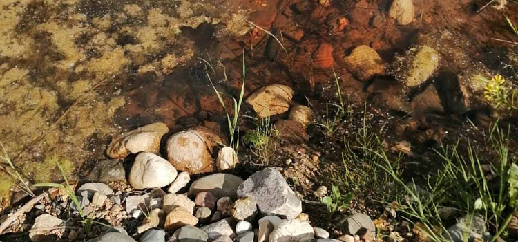 Очистные из проекта «Оздоровление Волги» загрязнили водоёмы: суд взыскал миллионы с Ярославского областного водоканала