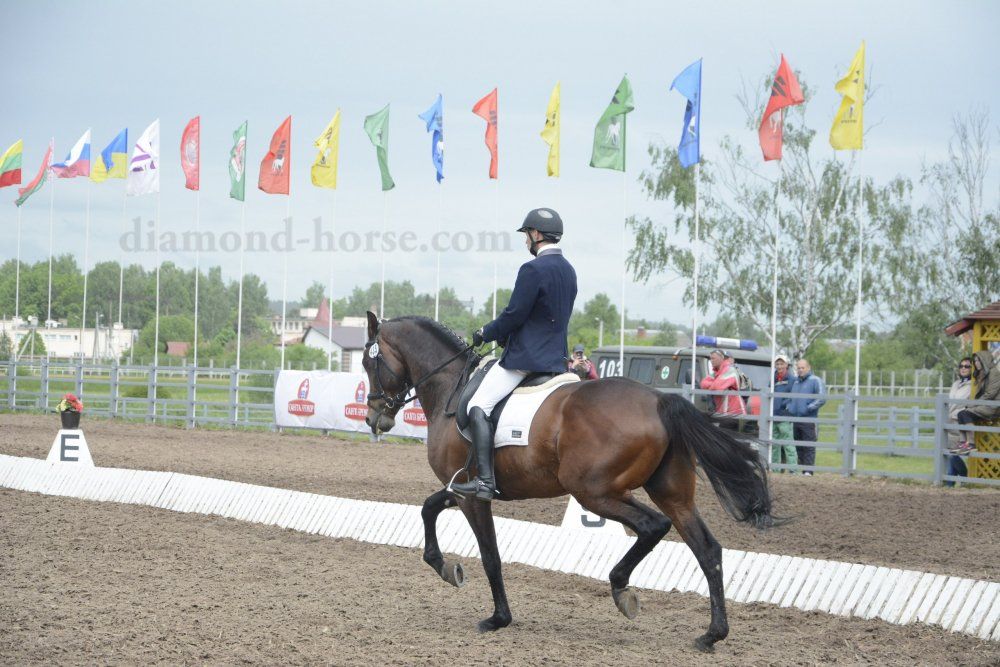 В Ярославской области открылись соревнования по конному троеборью
