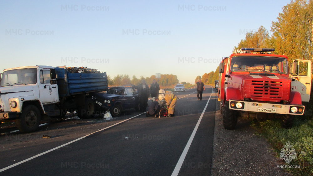 В Ярославской области под колёсами автомобиля погиб сбивший лося водитель грузовика