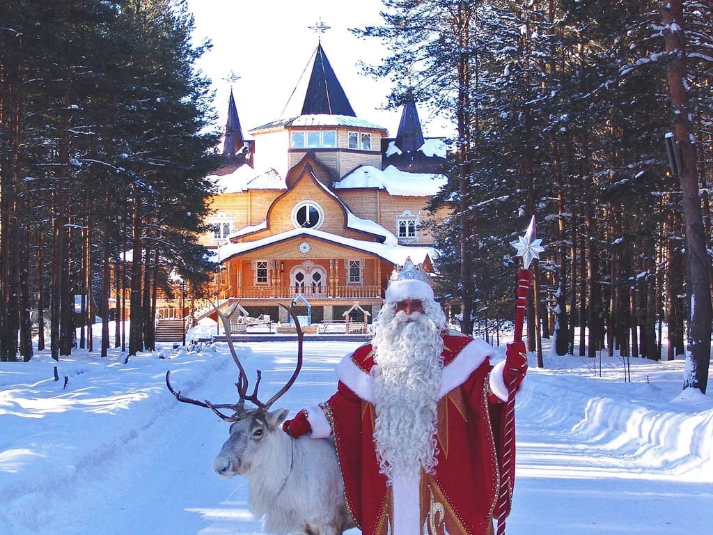 Рыба Мороз Зеркальная Фото