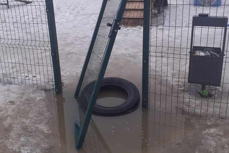 В Ярославле новая площадка для выгула собак не пережила зиму