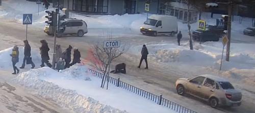 В Заволжском районе Ярославля сбили женщину, которая упала на пешеходном переходе: видео