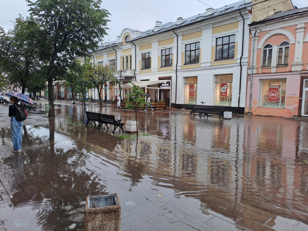 Топит улицы и валит деревья: ярославцев призвали не выходить на улицу